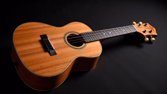 Acoustic Guitar