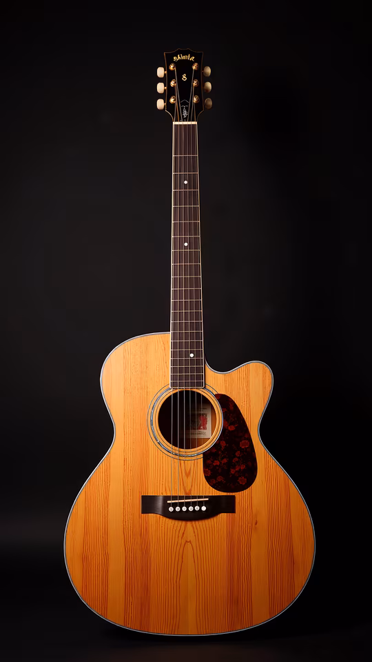 Acoustic Guitar