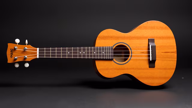 Acoustic Guitar Illustration