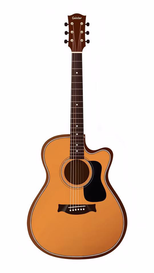 Acoustic Guitar Illustration