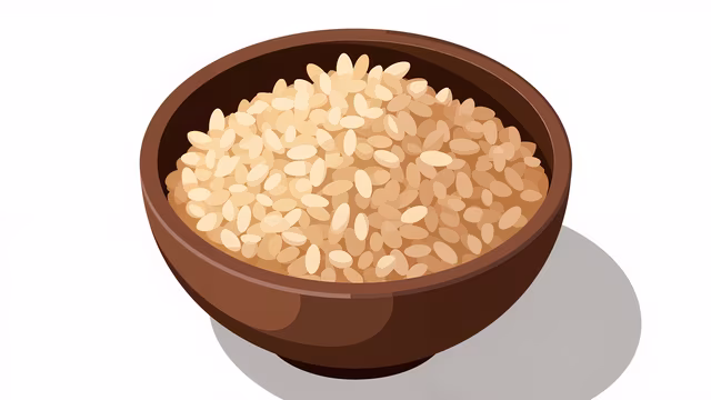 Bowl of Rice Illustration