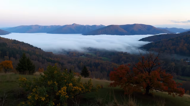 Misty Mountain Valley