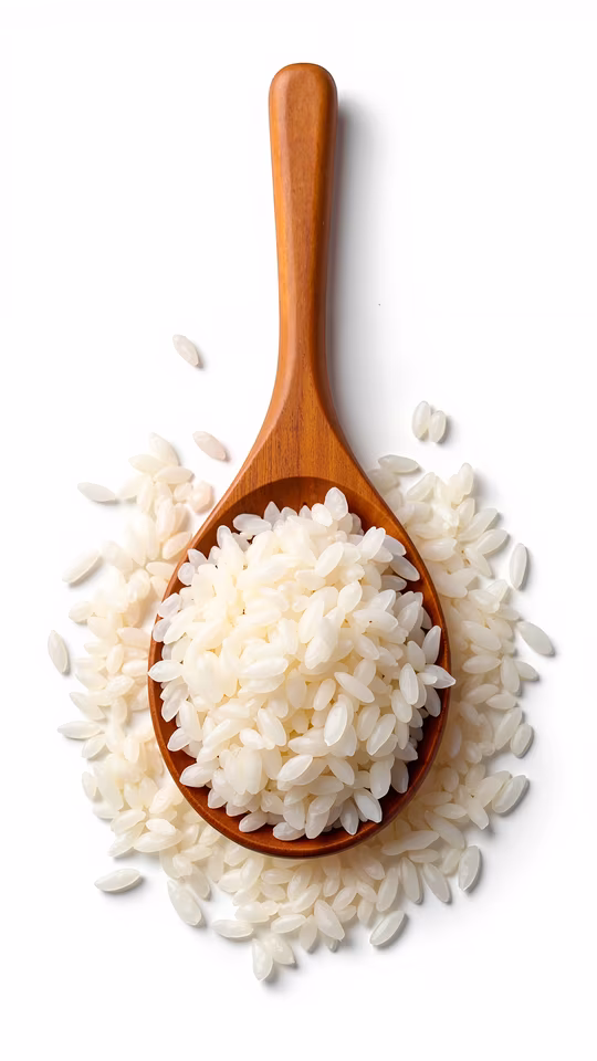 Rice Scoop