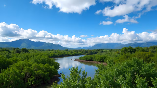 River Valley Landscape