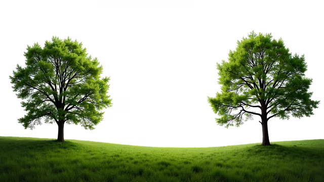Two Trees on a Hill