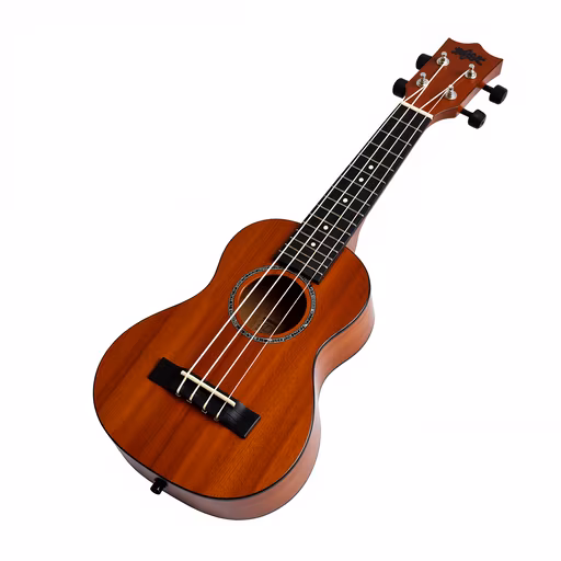 Ukulele Illustration