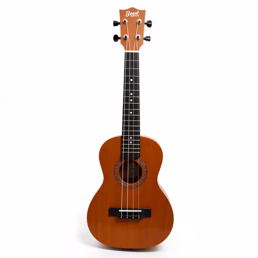 Ukulele Illustration