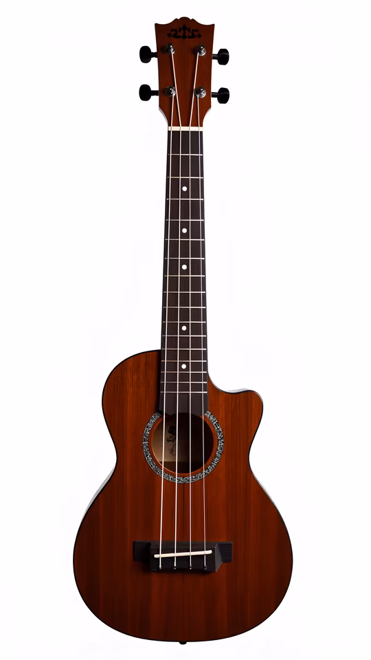 Ukulele Illustration