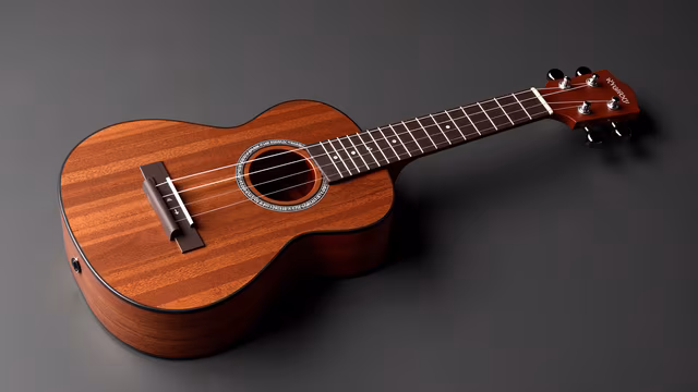 Wooden Ukulele Illustration