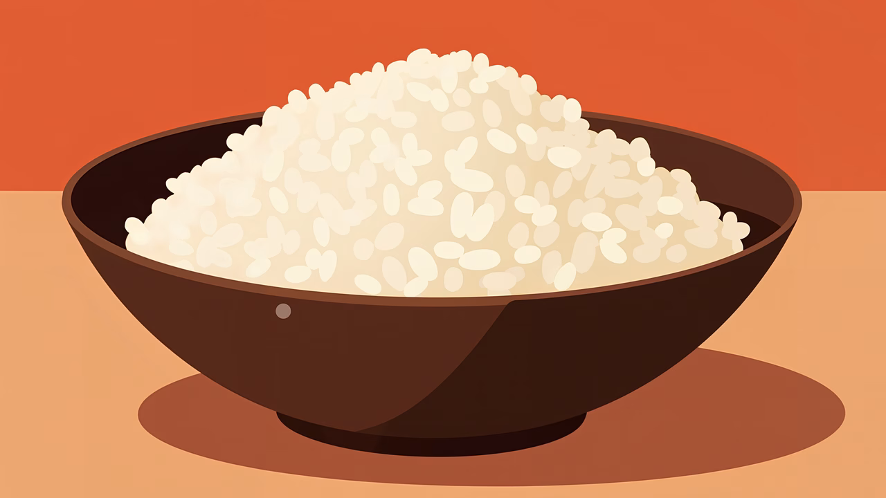 A bowl of rice in a minimalist illustration style, evoking warmth and simplicity.