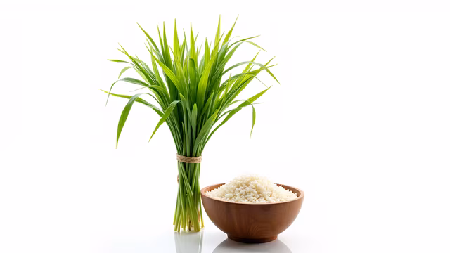 Green Wheat Bundle and Bowl of Seeds