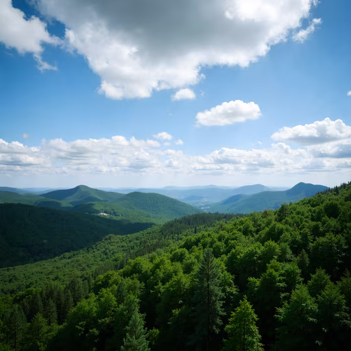 Lush Green Landscape