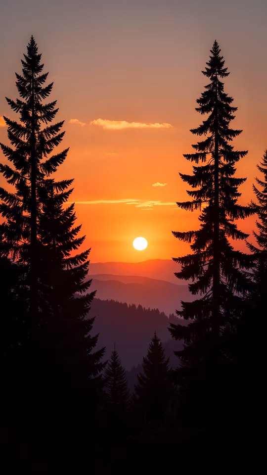 Sunset Silhouette