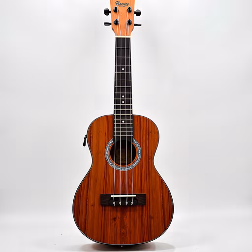 Acoustic Guitar
