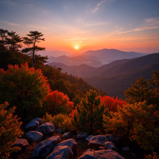 Autumnal Sunset Landscape