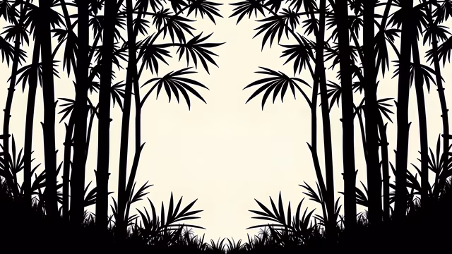 Bamboo Silhouette