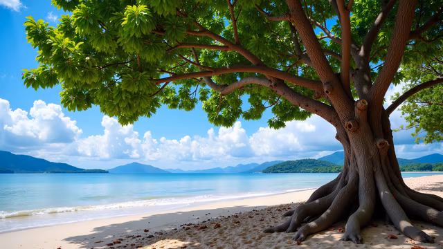 Beach Tree