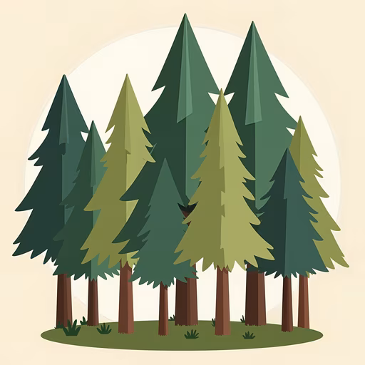 Forest Illustration
