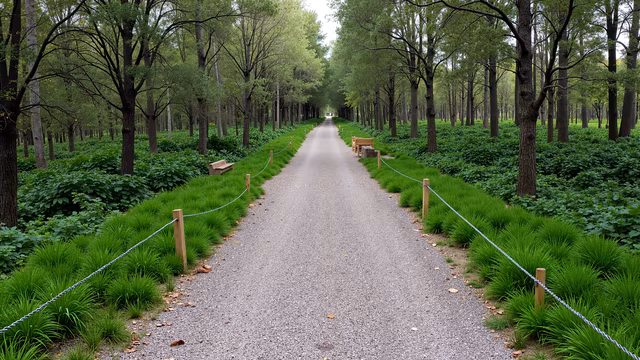 Forest Pathway