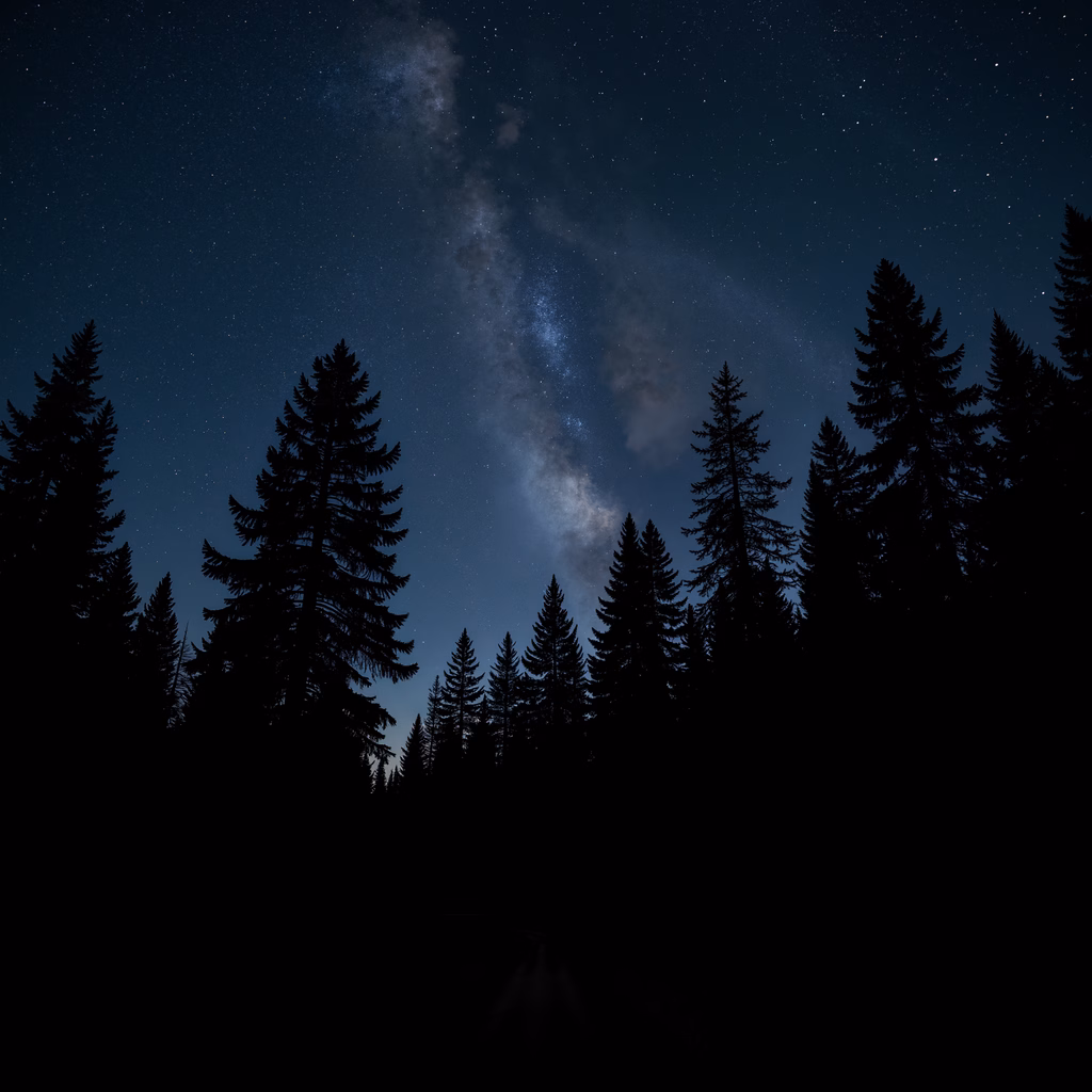 Silhouetted evergreens under a starlit sky with the Milky Way.