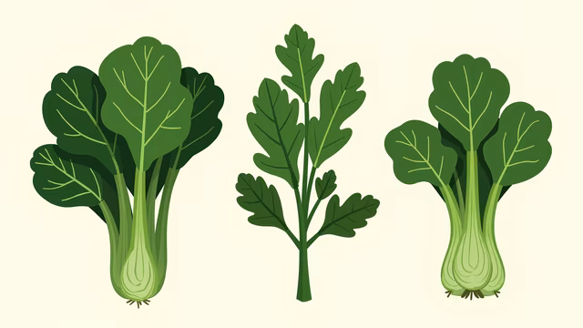 Leafy Greens Illustration