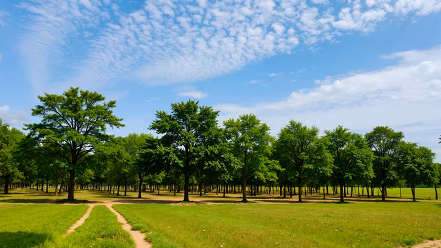 Lush Green Forest Path