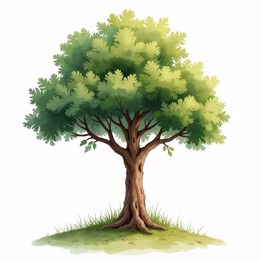 Lush Tree Illustration