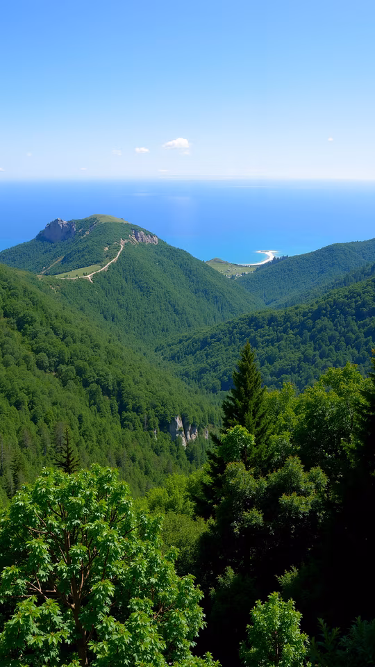 Mountain Valley Landscape