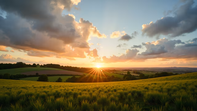 Golden Sunset Landscape