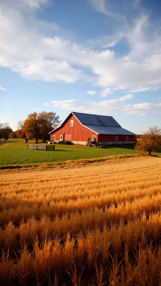 Red Barn in Golden Fields