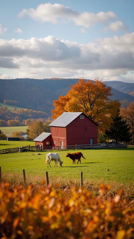 Rustic Barn in Autumn