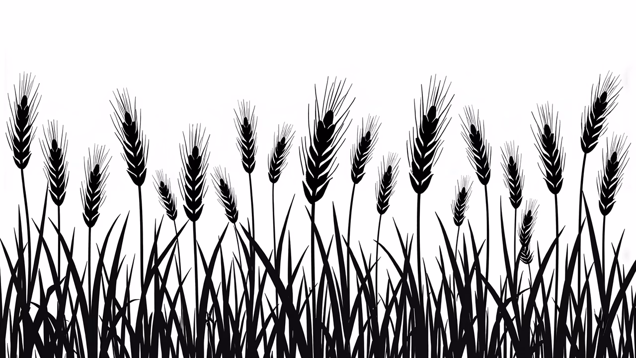 Monochrome wheat field silhouette, serene nature art