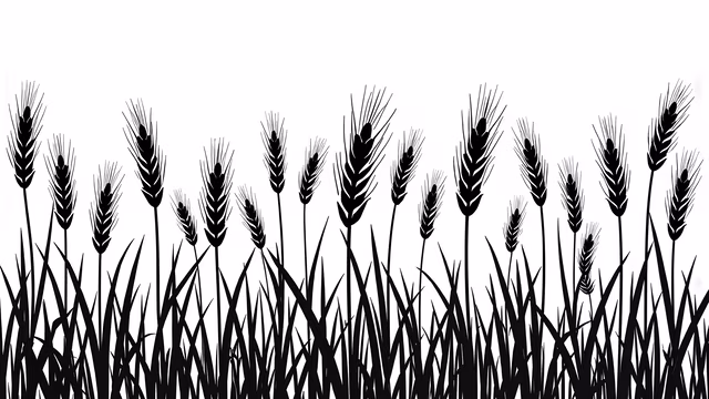 Wheat Field Silhouette