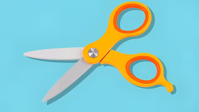Bright Scissors Illustration
