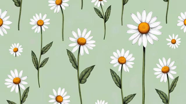 Daisies Illustration