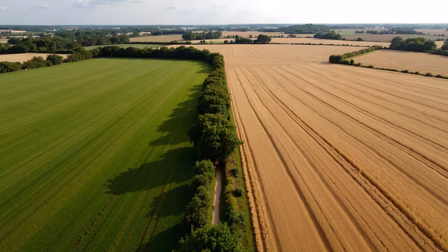 Aerial View of Contrasting Fields