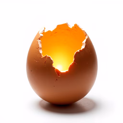 Broken Eggshell