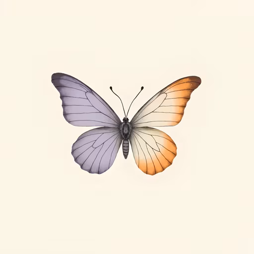 Butterfly Illustration