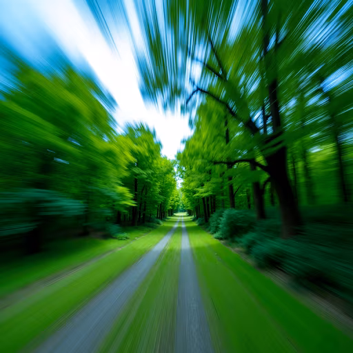 Dynamic Forest Path