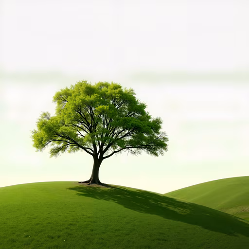 Solitary Tree Illustration