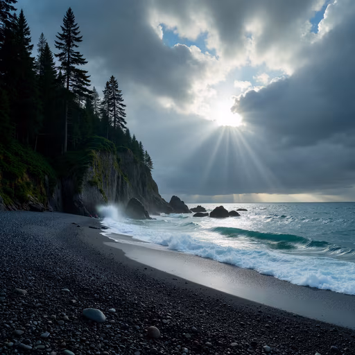 Sunlit Beach