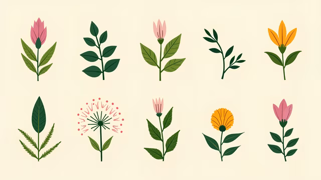 Floral Illustrations