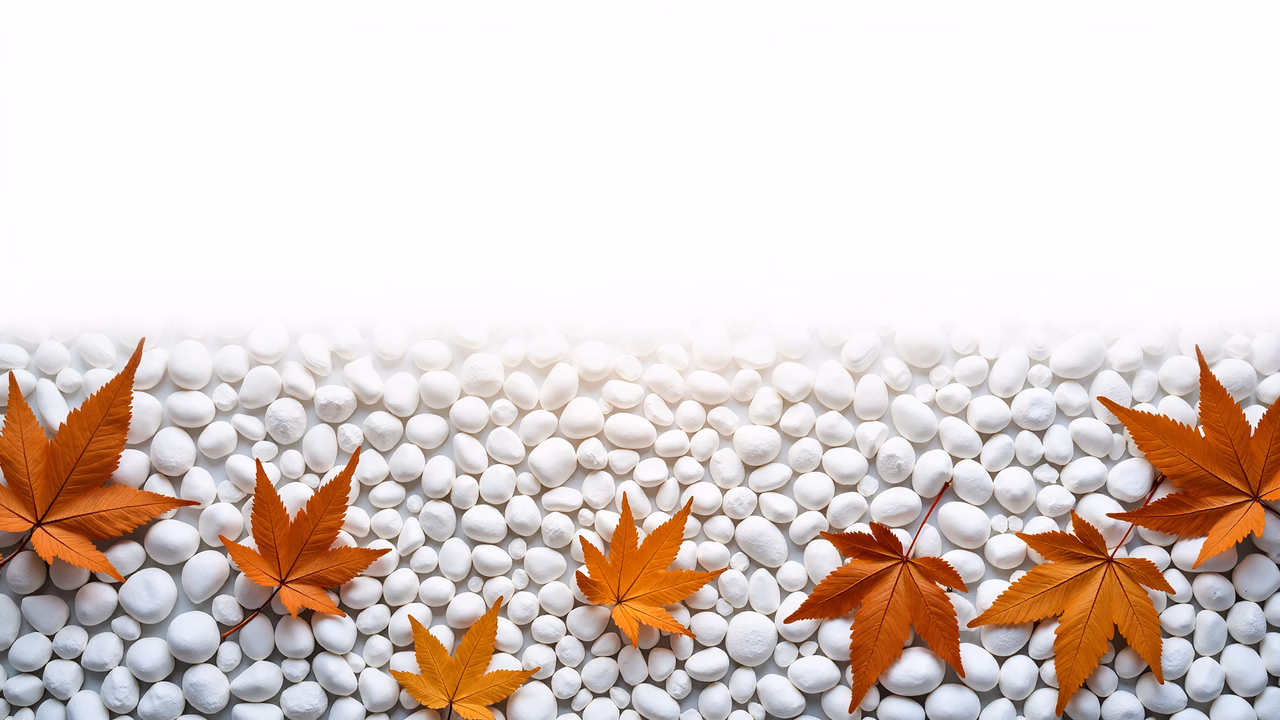 Vibrant autumn leaves on white pebbles create a tranquil nature scene.