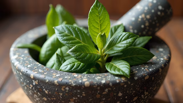 Herbal Mortar