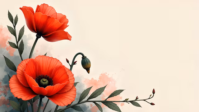 Red Poppies Illustration