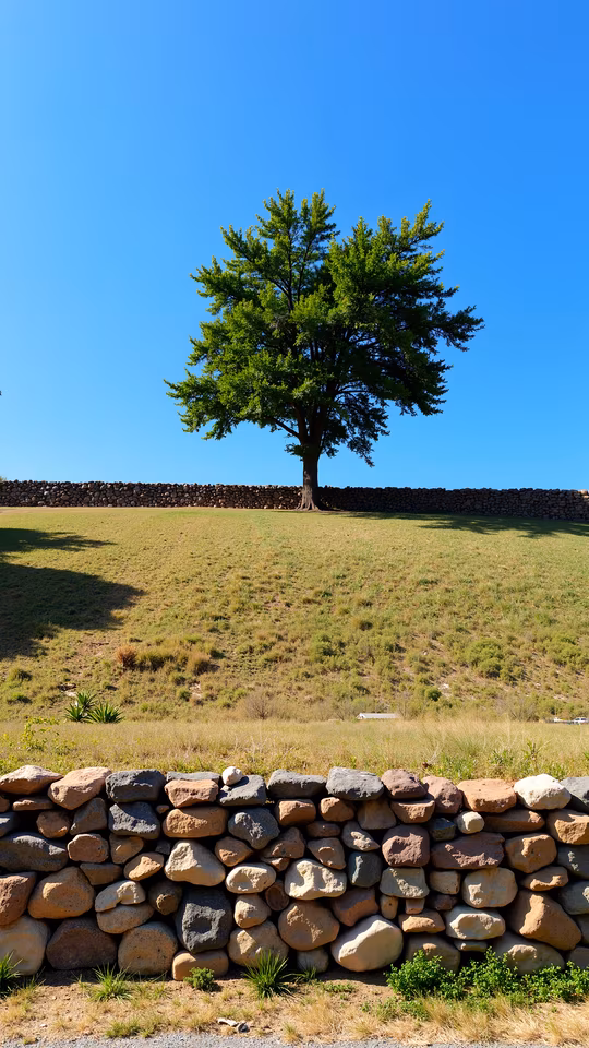 Solitary Tree