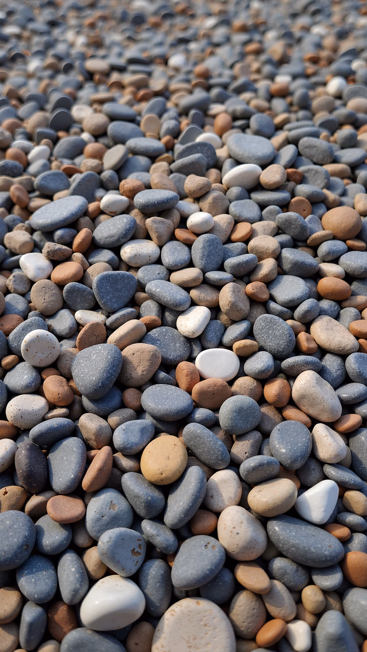 Close-up of diverse stones on a beach, showcasing natural textures and colors.