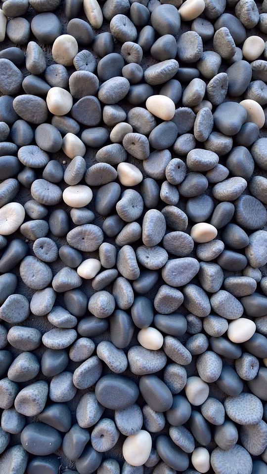 Stones in Monochrome