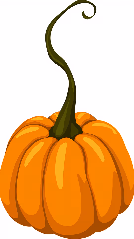 Pumpkin Illustration