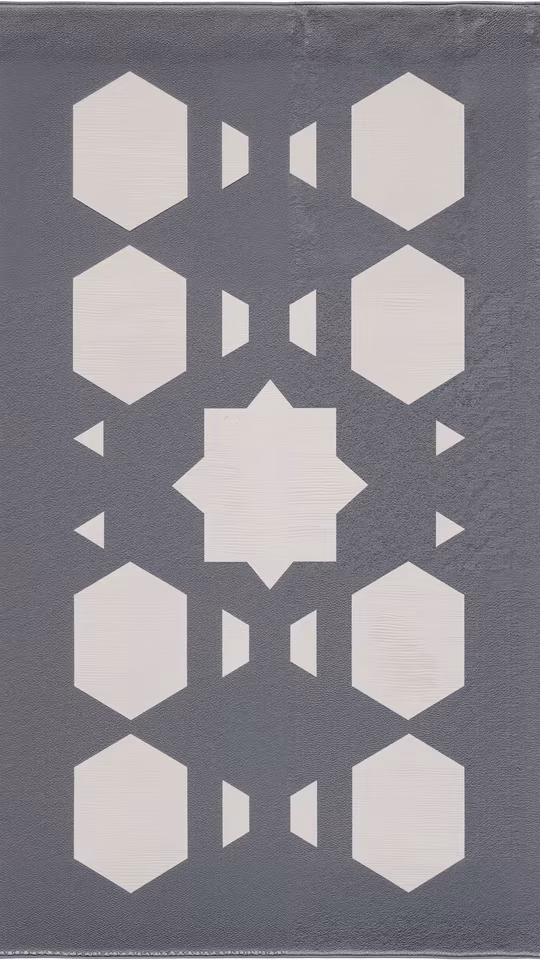 Geometric Abstraction